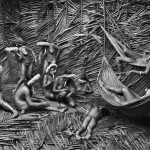 Обычно женщины в деревне Зое используют красный плод орлеанового дерева (Bixa orellana), чтобы окрасить свои тела. Штат Пара, Бразилия. 2009.
(c) Себастио Сальгадо / Amazonas images
